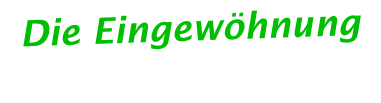 Die Eingewöhnung